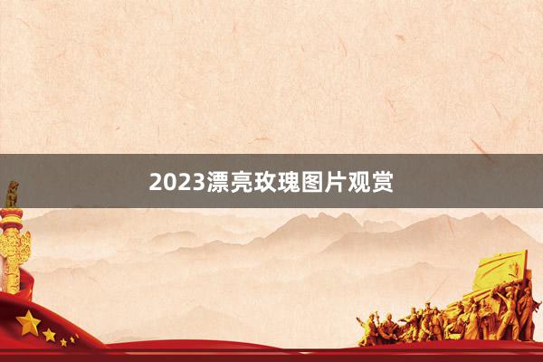 2023漂亮玫瑰图片观赏