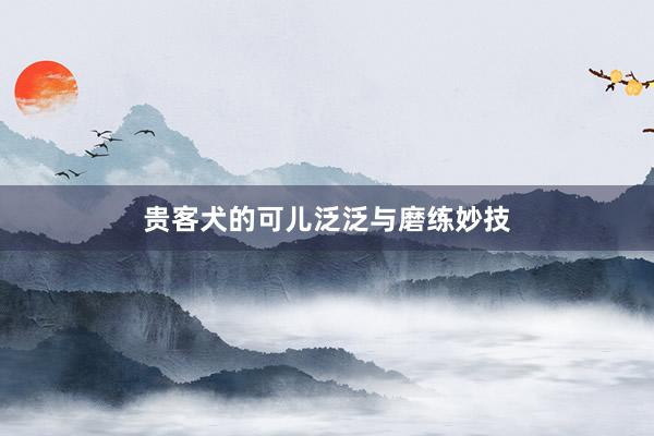 贵客犬的可儿泛泛与磨练妙技