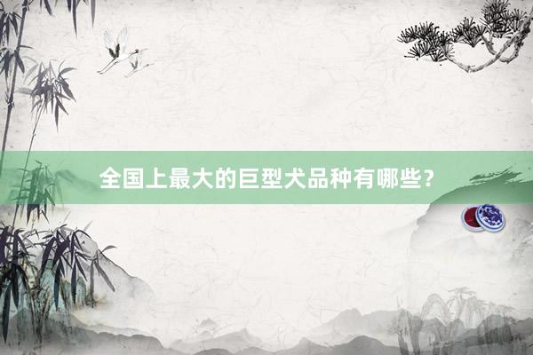 全国上最大的巨型犬品种有哪些？
