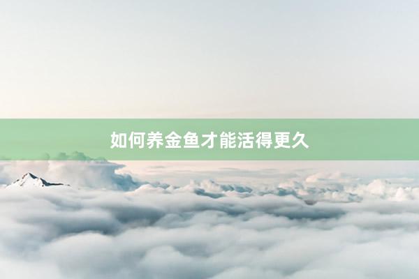 如何养金鱼才能活得更久