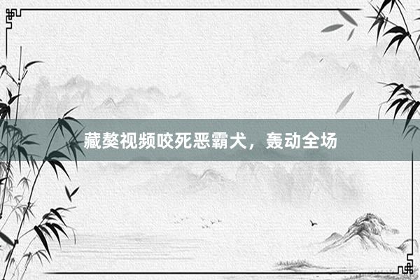 藏獒视频咬死恶霸犬，轰动全场